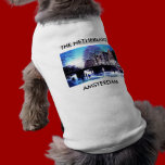 Mojisola A Gbadamosi Amsterdam vacations photgraph pet clothing