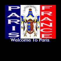Mojisola A Gbadamosi (Welcome to Paris) t-shirts