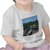 Mokoro's Okavango Delta, Botswana T-shirt