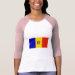 Ladies 3/4 Sleeve Raglan (Fitted)