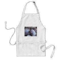 Mole Cricket On The Stone Apron