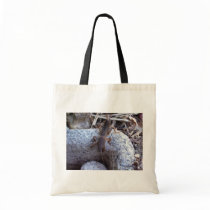 Mole Cricket On The Stone Bags
