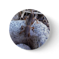 Mole Cricket On The Stone Pin