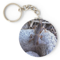 Mole Cricket On The Stone Key Chains