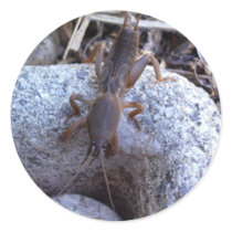 Mole Cricket On The Stone Stickers