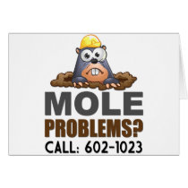 Mole Problems Cards