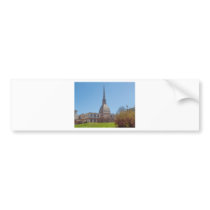 Mole Torino Bumper Sticker