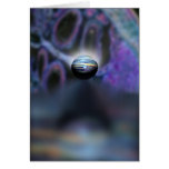 Molecular Balance cards
