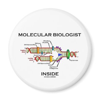 Molecular Biologist Inside (DNA Replication) magnet