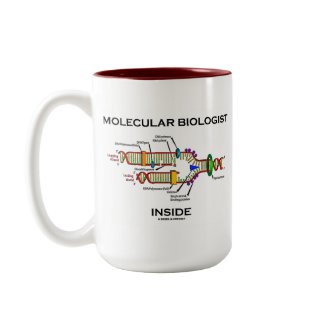 Molecular Biologist Inside (DNA Replication) mug
