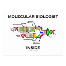 Molecular Biologist Inside (DNA Replication) Postcard