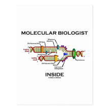 Molecular Biologist Inside (DNA Replication) Postcards