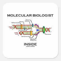 Molecular Biologist Inside (DNA Replication) Sticker
