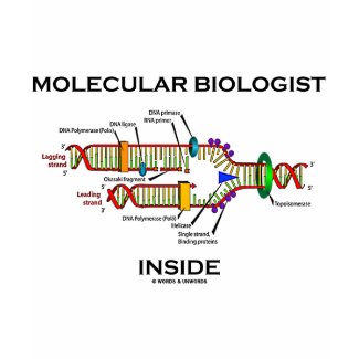 Molecular Biologist Inside (DNA Replication) shirt