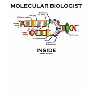 Molecular Biologist Inside (DNA Replication) shirt