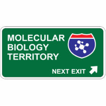 Molecular Biology Next Exit photo sculptures by whatitis Molecular Biology Next Exit photo sculptures
