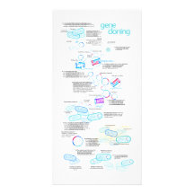 Molecular cloning using bacteria and plasmids photo card template