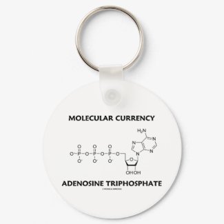 Molecular Currency Adenosine Triphosphate (ATP) keychain