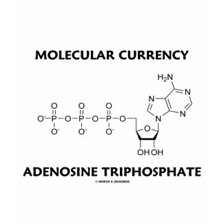 Molecular Currency Adenosine Triphosphate (ATP) shirt