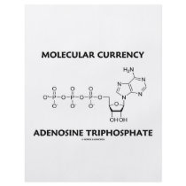 Molecular Currency Adenosine Triphosphate Flyers