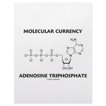 Molecular Currency Adenosine Triphosphate Letterhead Template