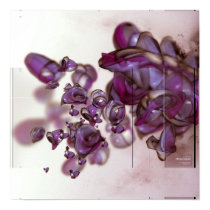 molecular posters