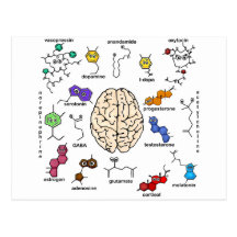 Molecules Galore! Post Cards