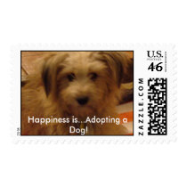 ¡mollie_020a, felicidad… está adoptando un perro! sellos