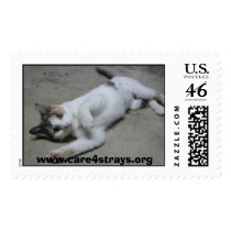 Mollie Postage postage