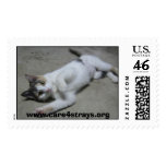 Mollie Postage