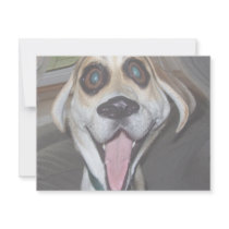 mollly invitations