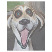mollly letterhead