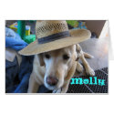 molly7, Molly cards