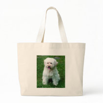 Molly bags
