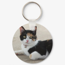 molly keychains