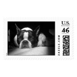 Molly Madelynn postage