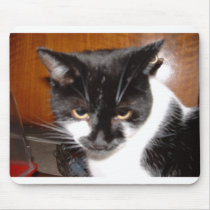 molly mousepads