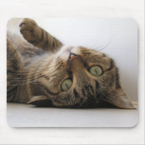 Molly mousepads