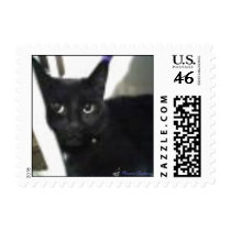 Molly postage
