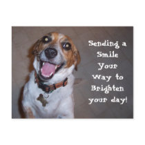 Molly Smiles! postcards