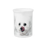 Molly the Maltese pitchers