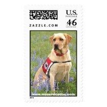 mollybluebonnets032206_bizcard_lg02, www.myserv... postage