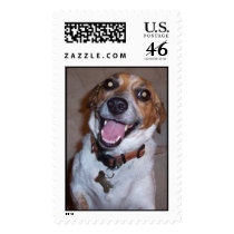 Molly's Stamp