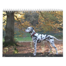 Molo Calendar