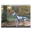 Molo calendars