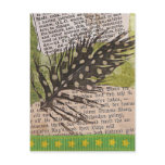 Molt ATC Post Cards