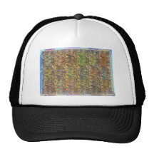 Molten Gold Strands in Rare Earth Color Collection Mesh Hat