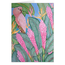 Moluccan Cockatoo cards by joeyartist Moluccan Cockatoo cards