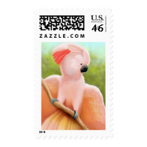 Moluccan Cockatoo Displaying his Feathers postage by twopurringcats Moluccan Cockatoo Displaying his Feathers postage