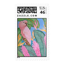 Moluccan Cockatoo postage